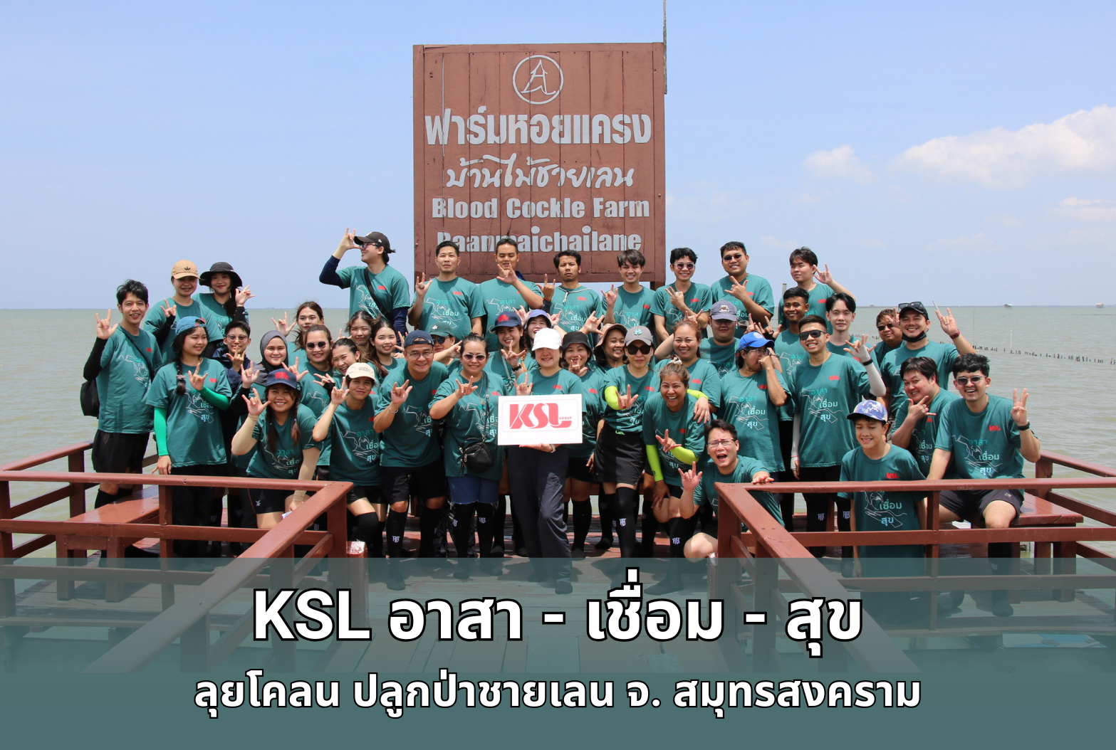 KSL อาสา-เชื่อม-สุข จัดกิจกรรมลุยโคลน ปลูกป่าชายเลน จ.สมุทรสงคราม